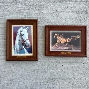 Set of 2 Vintage Hungarian Horse Art Prints Framed Decobus Art Regnum Hungaricum